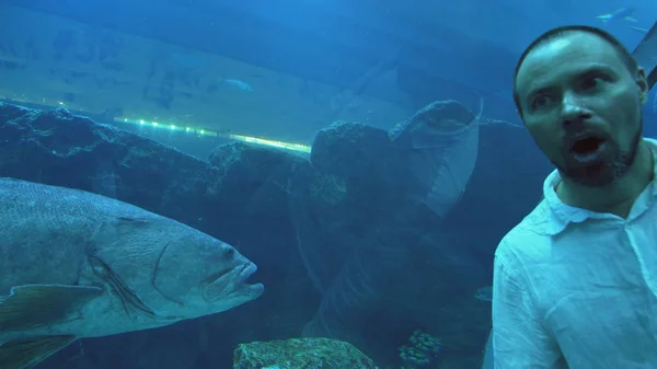 面白おかしく水族館で魚を見ている男 — ストック写真