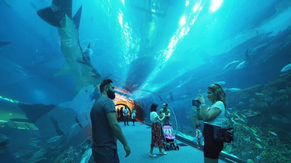 人们在迪拜购物中心的水族馆玻璃隧道中欣赏海洋生物 — 图库照片