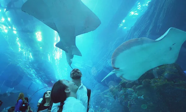 十代の少女のお父さんに感心ドバイモールの水族館のガラス トンネルの海洋生物 — ストック写真