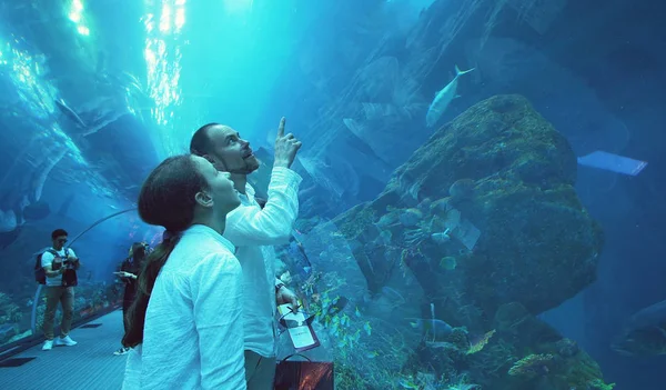 Adolescente con papá admira la vida marina en el túnel de cristal del acuario en Dubai Mall —  Fotos de Stock