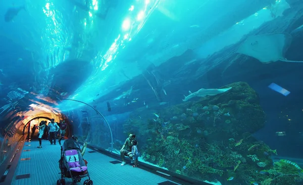 人们在迪拜购物中心的水族馆玻璃隧道中欣赏海洋生物 — 图库照片