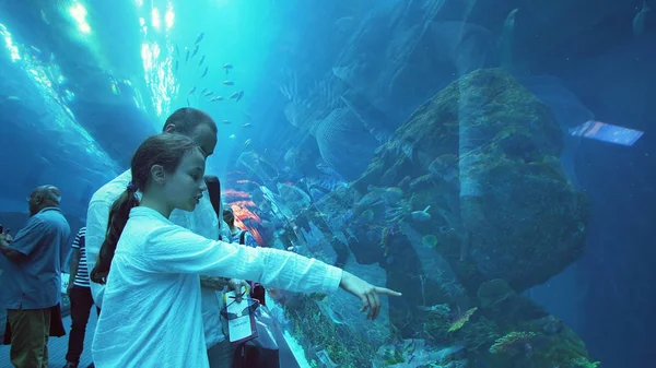 与爸爸的十几岁的女孩欣赏在迪拜购物中心的水族馆玻璃隧道的海洋生物 — 图库照片