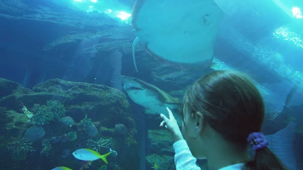 Dospívající dívka zábavně sledovat ryby v akváriu — Stock fotografie