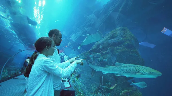 Dospívající dívka s tátou zábavně sledovat ryby v akváriu — Stock fotografie