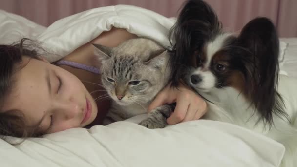 愉快的少女沟通与狗帕皮龙和泰国猫在床上股票镜头视频 — 图库视频影像