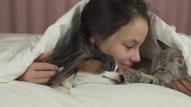 Feliz adolescente chica se comunica con el perro Papillon y gato tailandés en la cama material de archivo de vídeo — Vídeos de Stock