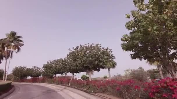 ホテル パーク ハイアット アブダビ ストック映像ビデオで車の旅 — ストック動画
