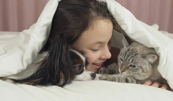 Feliz adolescente chica se comunica con el perro Papillon y gato tailandés en la cama — Foto de Stock