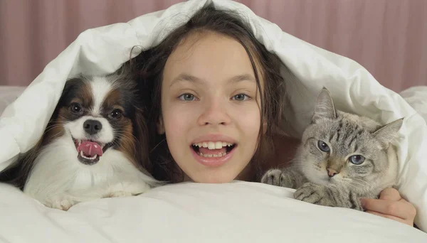 Feliz adolescente chica se comunica con el perro Papillon y gato tailandés en la cama —  Fotos de Stock