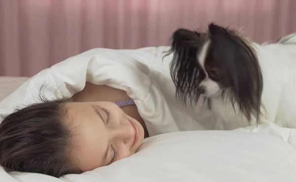 Papillon cão acorda menina adolescente na cama — Fotografia de Stock