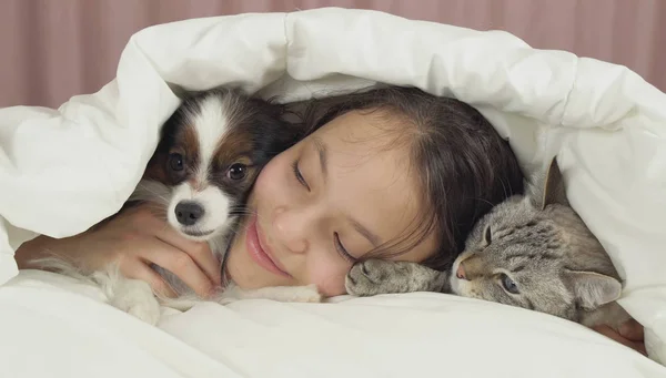 Szczęśliwa dziewczyna komunikuje się z Brodawka pies i kot tajski w łóżku — Zdjęcie stockowe