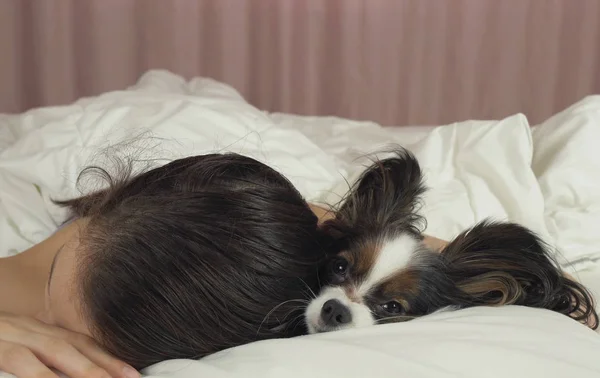 Mooie tiener meisje zoet slapen in bed met Papillon hond — Stockfoto