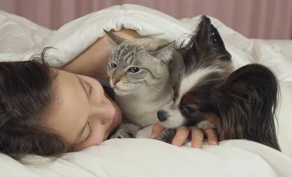 Beautiful teen girl sleeping sweetly in bed with dog and cat — Stock Photo, Image