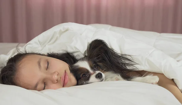 Όμορφη έφηβος κορίτσι στο κρεβάτι να κοιμάσαι γλυκά με το σκυλί Papillon — Φωτογραφία Αρχείου