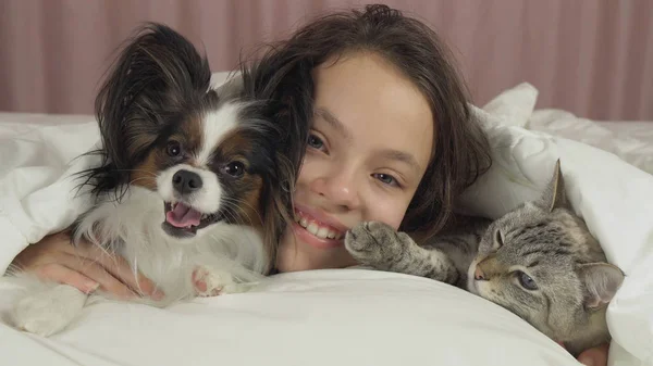 Lycklig tonåring flicka kommunicerar med hunden Papillon och thailändska katt i sängen — Stockfoto