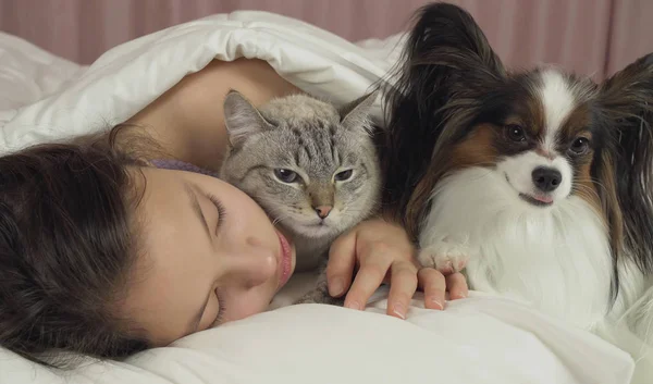 Piękna Nastolatka Dziewczyna słodko śpiące w łóżku z psów i kotów — Zdjęcie stockowe