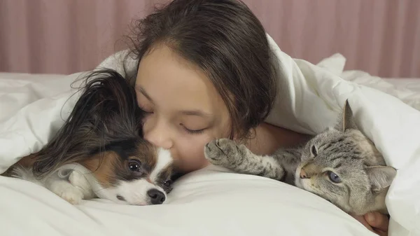 Menina adolescente feliz se comunica com o cão Papillon e gato tailandês na cama — Fotografia de Stock