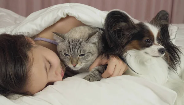 Krásné dospívající dívka sladce spát v posteli s pes a kočka — Stock fotografie