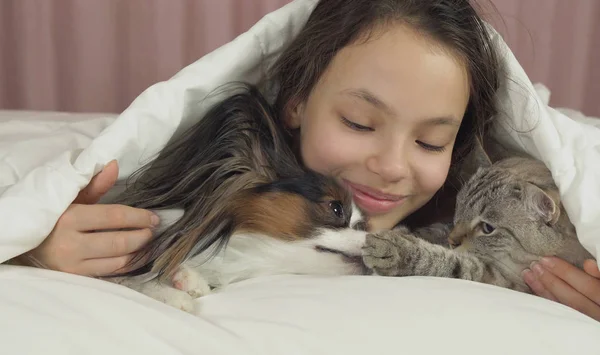 Feliz adolescente chica se comunica con el perro Papillon y gato tailandés en la cama —  Fotos de Stock