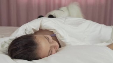 Papillon köpek yatak Stok görüntüleri video içinde genç kız uyanır