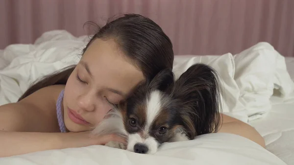 Krásné dospívající dívka sladce spát v posteli s Papillon být v patách — Stock fotografie