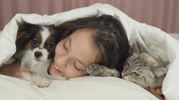 Feliz adolescente chica se comunica con el perro Papillon y gato tailandés en la cama —  Fotos de Stock