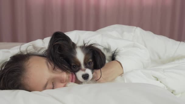 Papillon köpek yatak Stok görüntüleri video içinde genç kız uyanır — Stok video