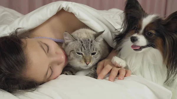 Schönes Teenie-Mädchen schläft süß im Bett mit Hund und Katze — Stockfoto