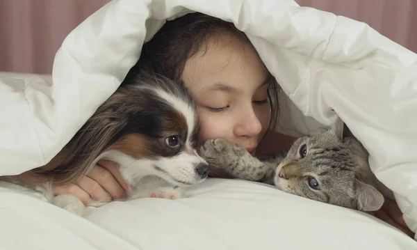 Menina adolescente feliz se comunica com o cão Papillon e gato tailandês na cama — Fotografia de Stock