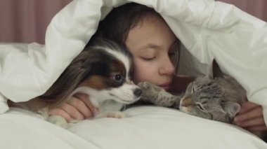 Mutlu genç kız köpek Papillon ve yatak Stok görüntüleri video Tay kedi ile iletişim kurar