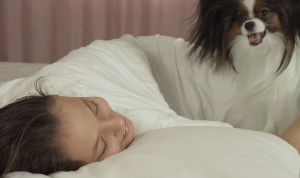 Papillon cão acorda menina adolescente na cama — Fotografia de Stock