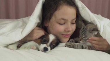 Mutlu genç kız köpek Papillon ve yatak Stok görüntüleri video Tay kedi ile iletişim kurar