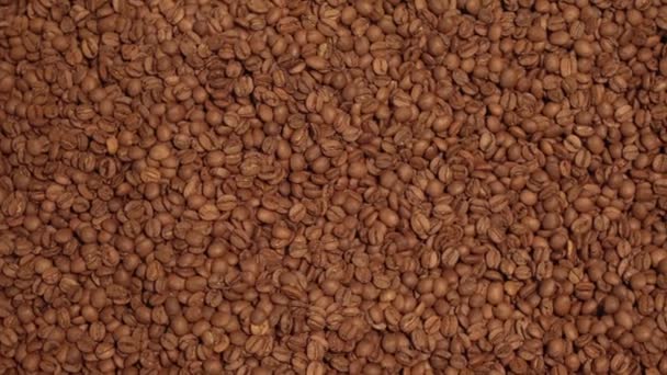 Dark and aromatic coffee beans background stock footage video — Stock Video