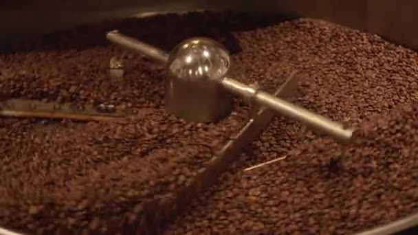 Dunkle und aromatische Kaffeebohnen in modernen Röstmaschinen — Stockvideo