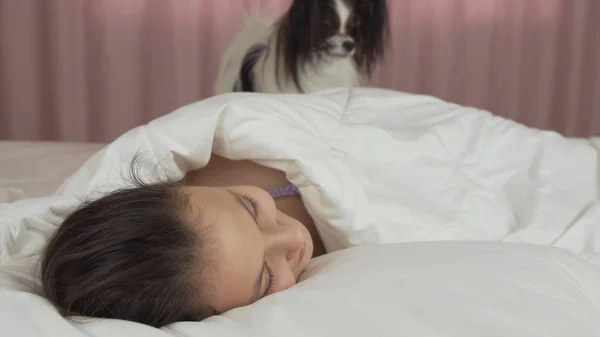 Papillon cão acorda menina adolescente na cama — Fotografia de Stock