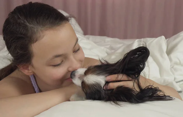 Happy teen girl kisses and plays with dog Papillon in bed — Stock Photo, Image