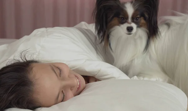 Papillon cão acorda menina adolescente na cama — Fotografia de Stock