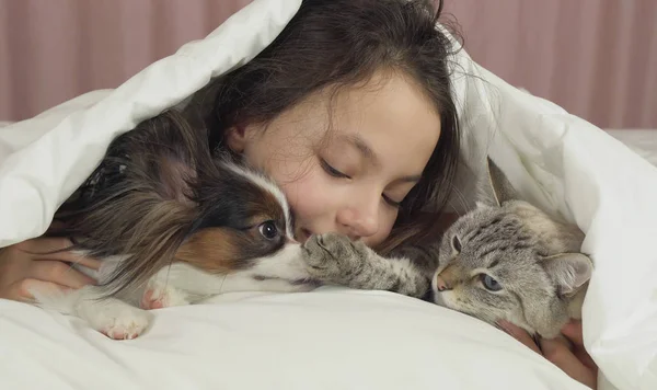 Lycklig tonåring flicka kommunicerar med hunden Papillon och thailändska katt i sängen — Stockfoto