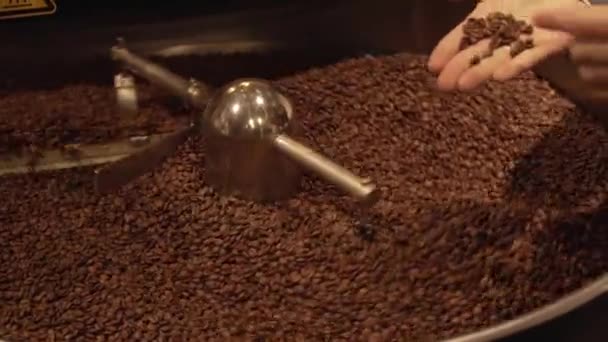 Granos de café oscuros y aromáticos en la máquina de tostado moderna material de archivo de vídeo — Vídeo de stock