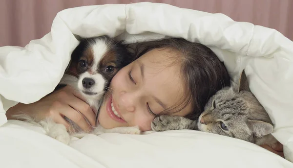 Szczęśliwa dziewczyna komunikuje się z Brodawka pies i kot tajski w łóżku — Zdjęcie stockowe