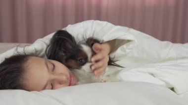 Mutlu genç kız yatak Stok görüntüleri video Papillon köpek ile iletişim kurmak için kullandığı