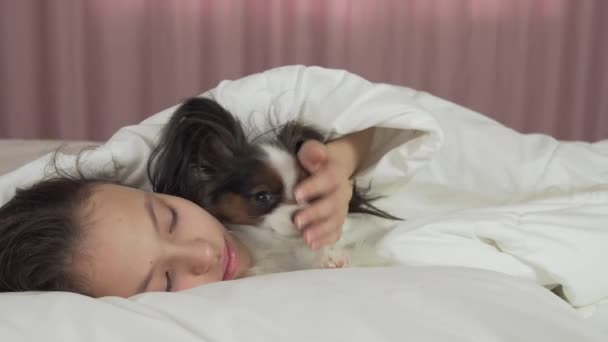 Lycklig tonåring flicka kommunicerar med hunden Papillon i säng arkivfilmer video — Stockvideo