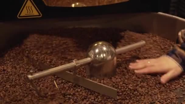 Mörk och aromatiska kaffebönor i moderna stekheta maskin arkivfilmer video — Stockvideo