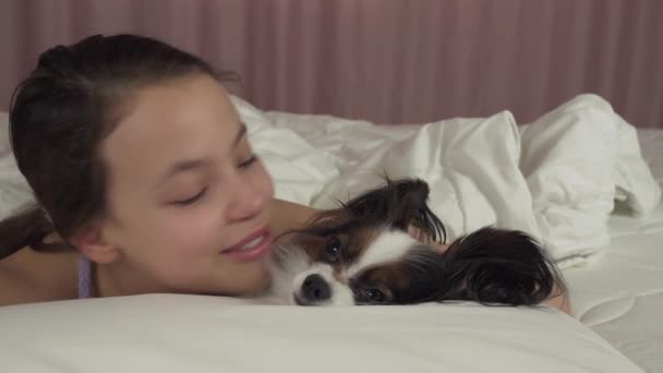 Gelukkig tiener meisje kussen en speelt met hond Papillon in bed stock footage video — Stockvideo