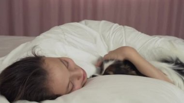 Papillon köpek yatak Stok görüntüleri video içinde genç kız uyanır