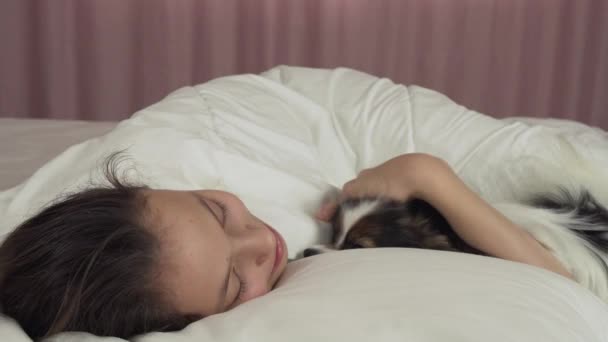 Papillon chien réveille jeune fille dans le lit stock vidéo — Video