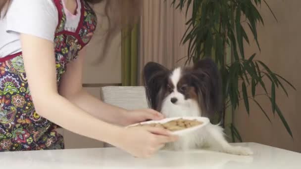 Menina adolescente com cão Papillon preparar biscoitos, deleite-se com biscoitos cozidos imagens de vídeo — Vídeo de Stock