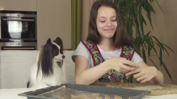 Teen girl and dog Papillon prepare cookies, spread the dough pieces on baking sheet stock footage video — Stock Video