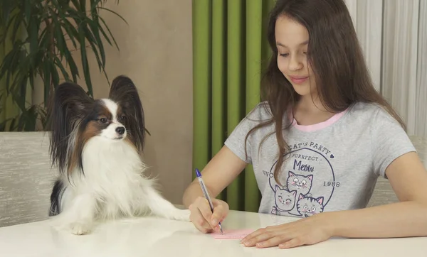 Girl teenager with dog Papillon guess on desires, writes desire to pieces of paper — Stock Photo, Image