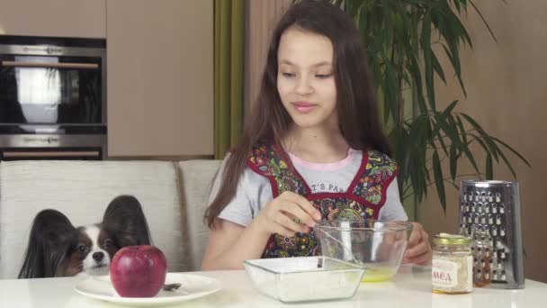 Tenåringsjente med hund Papillon lager kaker, kneler gryn klipp – stockvideo